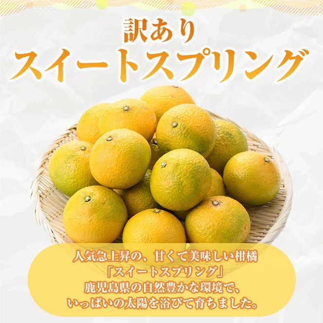 ＜先行予約受付中！2026年12月中旬以降順次発送予定＞訳ありスイートスプリング(約10kg) 鹿児島県 阿久根市 フルーツ 果物 デザート 柑橘 甘味 果肉 果汁【松永青果】akn053-11