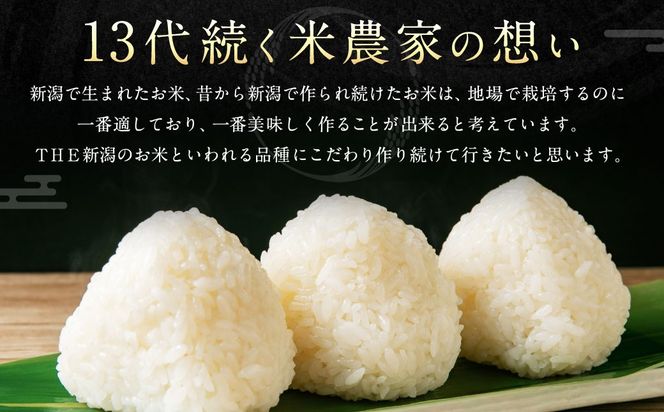 【令和6年産】ゆきん子舞 白米 5kg 新潟県岩船産 食味鑑定士謹製 一等米 新耕農産 農家直送 低温倉庫保管 あっさり しっかり食感 新潟県のみ栽培 1039015