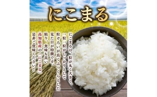 令和7年産 米 にこまる 5kg 10kg 15kg 30kg 60kg 定期便 3ヶ月 6ヶ月 数量限定 お米 白米 精米 新米 ごはん ご飯 高知県産 弁当 おにぎり 料理 令和7年度 R7年 先行予約 超早場米 粒ぞろい ふっくら 粘り 食味 四国 安芸平野 日照時間 清流 風 栄養 健康 美味しい 炊飯 食事 朝食 夕食 家庭用 贈答用 ギフト 安芸市 高知県