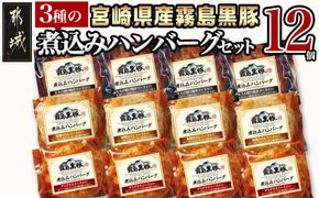 霧島黒豚 3種の煮込みハンバーグ 12個セット (デミグラスソース仕立て・和風おろしソース仕立て・大人の照焼きソース仕立て)_11-2803_(都城市) 脂身 厳選 霧島黒豚 じっくり 3種類 ソース ふっくら 煮込みハンバーグ 小分けセット！ ハンバーグ 豚肉