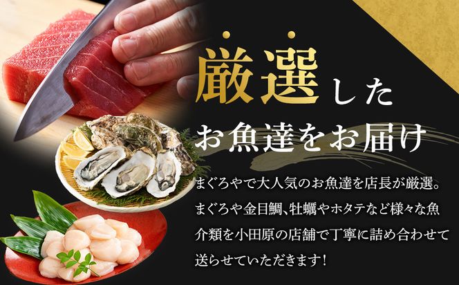 【3ヶ月に1度 3回配送 定期便】まぐろや　特別セット【 惣菜 まぐろ 鮪 本鮪 サーモン 海老 お刺身 海鮮 セット 福袋 キンメ きんめ お取り寄せ 御中元 お中元 お歳暮 父の日 母の日 贈り物 日本酒 焼酎】【神奈川県小田原市】 142069_DQ205