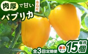 【全3回定期便】肉厚 パプリカ 15個 福岡県 糸島市 / シーブ 野菜 やさい[AHC070]