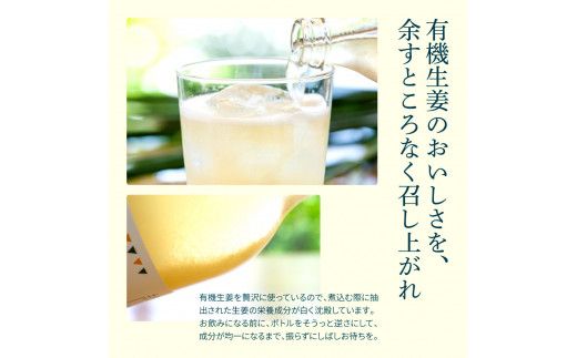 【CF-R7hbk】SKS049　土佐山ジンジャーエール飲み比べ12本セット 4種×各3本 ジンジャーエール 甘口 辛口 マイルド 飲み物 詰め合わせ セット お歳暮 ギフト ドリンク  ジンジャー ジュース 飲み比べ 贈り物 故郷納税 19000円 ふるさとのうぜい 高知県産 生姜 芸西村 返礼品