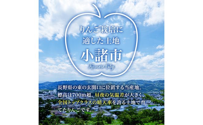 シナノスイート 秀品 約5kg 長野県産 果物類 林檎 りんご リンゴ フルーツ 小諸市