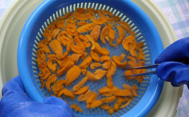 北海道 礼文島産 新鮮生うに エゾバフンウニ 80g×2パック［野崎水産］【 うに ウニ 雲丹 生うに バフンウニ 素材本来の味 海鮮 うに丼 甘み 産地直送 】