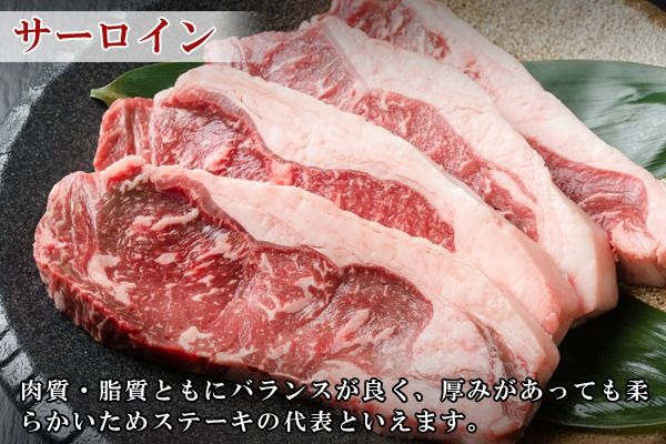 【CF】北海道 しほろ牛 サーロイン ステーキ 200g×4枚 計800g ロース ステーキ肉 牛 赤身肉 国産牛 肉 ビーフ 国産 牛肉 冷凍 詰合せ お取り寄せ 送料無料 十勝 士幌町【S01】