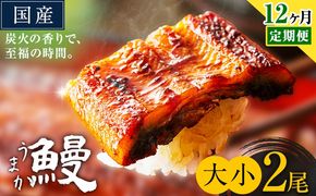【12ヶ月定期便】うなぎ 大小 2尾  国産 鰻 真空パック おすすめ うなぎの蒲焼 《お申込み翌月から出荷》 ふるさとのうぜい 特上 簡易包装 ウナギ unagi 蒲焼 秋 冬 旬 配送時期 冷凍---mifune_lcl_1338_mo12---