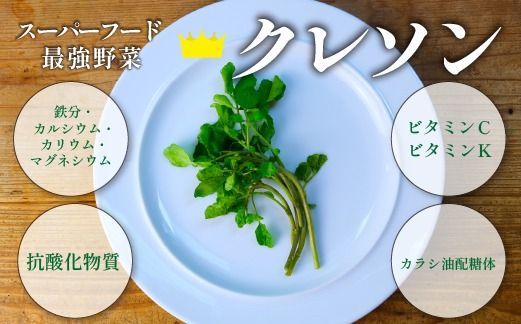 y{茧юszyڂ̃X[p[t[hzVRN\pE_[ 100giY VR  pE_[ e ؁j