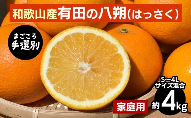 【先行予約】 有田の八朔（はっさく） 家庭用 約4kg S～4L サイズ混合 和歌山県産