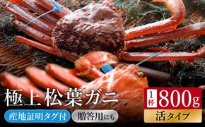 【kinosaki spa&gardens　湯楽使用】タグつき 活松葉ガニ　約800ｇ