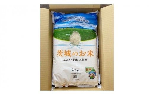 スピード発送!! 【 令和7年産 】 茨城県産 あきたこまち 10kg ( 5kg × 2袋 ) 米 お米 コメ 白米 茨城県 精米 新生活 応援 スピード配送 [DK018ci]