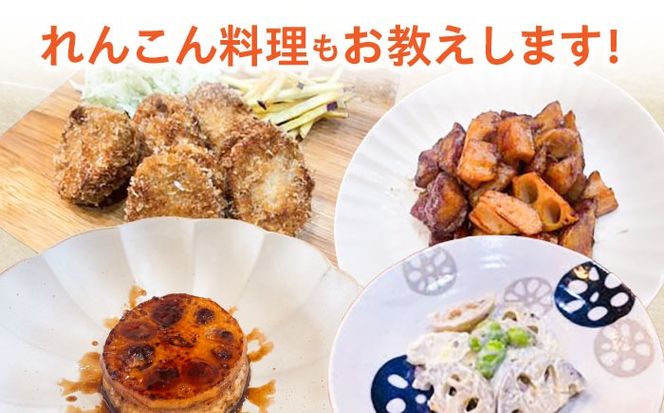 蓮根(レンコン)掘り体験 ペアチケット 【清水食品株式会社】 れんこん 食育 体験 産地直送 愛西市/ 清水食品株式会社[AEAJ004]