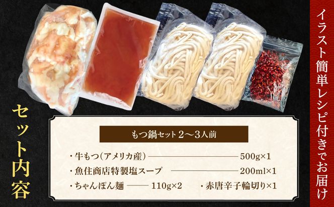 もつ増量500g 特製 塩もつ鍋 セット（2～3人前セット）【魚住商店】_HA1565