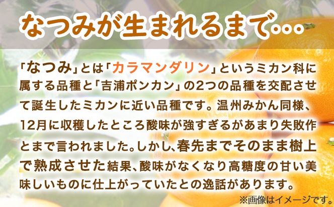 ＜先行予約＞初夏のみかん なつみ 約3kg 株式会社 魚鶴商店《2027年4月中旬-4月下旬頃出荷》 和歌山県 日高町 みかん なつみ 南津海 柑橘 果物 フルーツ 送料無料---wsh_uot138_4c4g_25_11000_3kg---