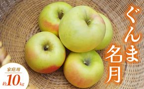 【2026年10月～発送】ぐんま名月 家庭用 約10kg りんご リンゴ 林檎 果物 フルーツ 長野県 長野 山ノ内町