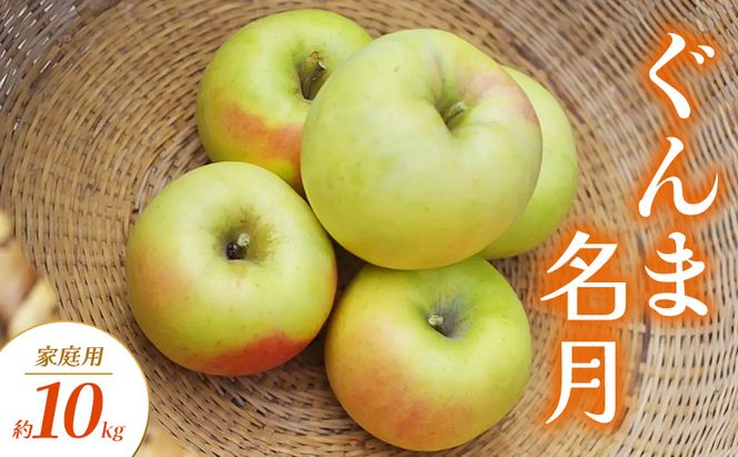 【2026年10月～発送】ぐんま名月 家庭用 約10kg りんご リンゴ 林檎 果物 フルーツ 長野県 長野 山ノ内町