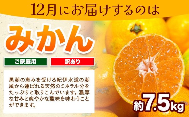 【発送月固定定期便】フルーツセット ご家庭用 訳あり果物セット (平核無柿 富有柿 みかん)【全３回】 魚鶴商店《10月上旬-1月上旬出荷予定(土日祝除く)》 和歌山県 日高川町 平核無柿 富有柿 柿 みかん 柑橘 蜜柑 果物 フルーツ 送料無料 定期便---wshg_uot112tei_26_40000_101112y3---