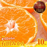 【2026年先行予約】みかん 大玉 どっこいしょ 箱込 10kg ( 内容量 9.2kg ) 2Lサイズ以上 秀品 優品 混合 有田みかん 和歌山県産 産地直送 【みかんの会】_MK1034