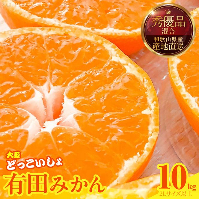【2026年先行予約】みかん 大玉 どっこいしょ 箱込 10kg ( 内容量 9.2kg ) 2Lサイズ以上 秀品 優品 混合 有田みかん 和歌山県産 産地直送 【みかんの会】_MK1034