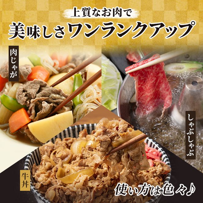 飛騨牛 牛肉 すき焼き しゃぶしゃぶ ロース スライス 500g×2 計1kg A5 和牛 すきやき すき焼き肉 すき焼き用肉 シャブシャブ お肉 霜降り ブランド和牛 