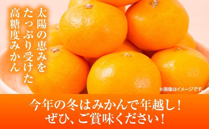 みかん 約10kg (2S-2Lサイズ) 金峰柑橘組合株式会社 ミカン 柑橘 フルーツ 旬 熊本県 玉名郡 玉東町 《10月中旬-1月中旬頃出荷》贈り物 果物 くだもの---gkt_knp_6_10k---