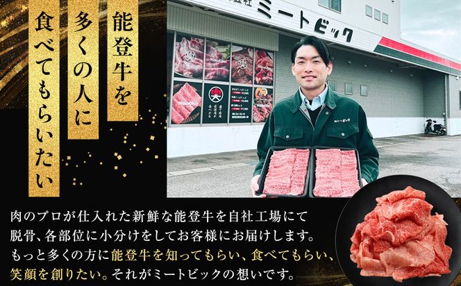 能登牛　切り落とし　500g(500g×1パック)　国産　石川県　黒毛和牛　牛肉　牛丼　肉じゃが　カレー　牛肉料理 172111_DK001