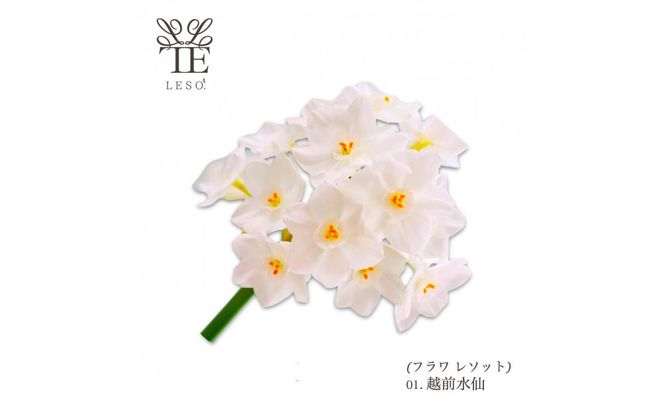 本物の花の香り リード・ディフューザー【水仙】 【 リード ディフューザー 花 香り 仙台市 アロマ インテリア フレグランス デザイン 室内 癒し 自然 空間 プレゼント ギフト エッセンシャルオイル リラックス 】 041009_HW001VC02