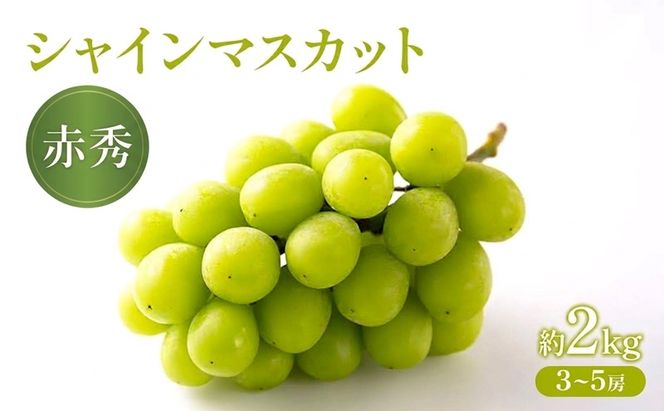 ぶどう 2027年 先行受付 シャインマスカット（赤秀） 約2kg  (3～5房) フルーツ 果物 岡山 赤磐市