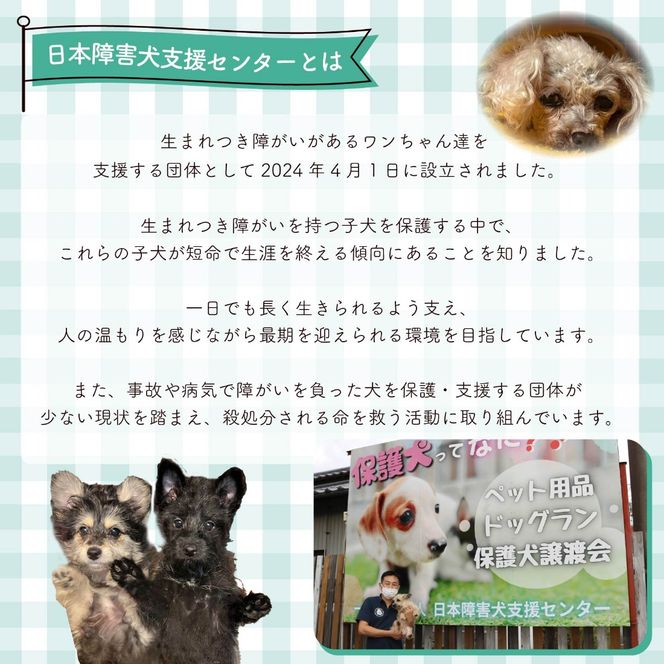 【返礼品なし】 【金額選べる】 障害犬 保護犬の支援 保護 支援 里親 譲渡 治療 餌 犬 動物愛護 藤枝市 静岡県