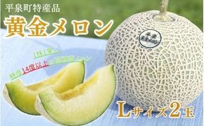 【令和7年度分予約受付】平泉黄金メロン 2玉 Lサイズ 合計約3kg 【2025年8月下旬以降より発送】/ メロン マスクメロン 果物 くだもの フルーツ 甘い 旬 産地直送 予約 先行予約【gmk514-l-1d5kgx2B】