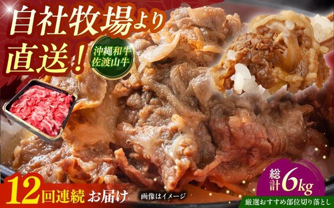 yꌧszyS12ցzyIIߕʁza nR ؂藎Ƃ 500g  ē Ă a Ԑg s / ̃Tu[[BCBC010]