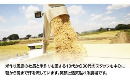 百笑米 の 華麗舞 使用！ もろみ酢 （ 720ml × 12本 ） 健康 酢 クエン酸 アミノ酸 ギャバ GAVA [AC027ci]