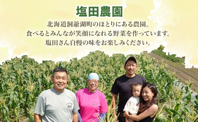 北海道 洞爺湖町産 秋掘り 長芋 約5kg 先行受付 2026年 11月中旬～下旬にお届け 長いも ながいも 芋 山芋 山うなぎ とろろ ステーキ 万能 旬 秋 野菜 根菜 常温 塩田農園 