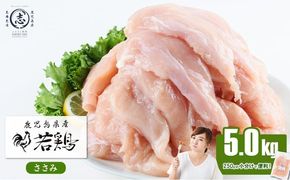 小分けで便利！鹿児島県産若鶏ささみ 計5kg(250g×20P) a5-258