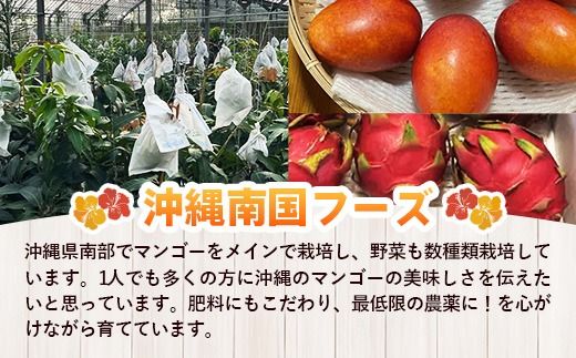 国産 希少種！南国フーズのアップルバナナ 約3kg - バナナ ばなな 小ぶり 沖縄県 産地直送 果物 フルーツ 南国 朝食 おすすめ 沖縄県 八重瀬町