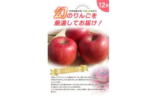 【令和7年度予約受付】大文字りんご園 季節のりんごづくし定期便！/ 樹上完熟 りんご リンゴ 林檎 紅いわて サン北斗 大夢 サンフジ 果物 くだもの フルーツ 甘い 旬 産地直送 予約 先行予約【dma513-set-3×4A】