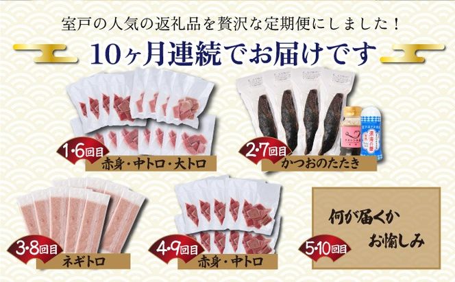 【全10回定期便】タカシン水産厳選 高知の海鮮セット 定期便 福袋 海鮮 詰め合わせ タタキ まぐろ マグロ 本まぐろ ネギトロ かつお カツオ 鰹 鮪 かつおのたたき カツオのタタキ タタキ 魚介 高知 室戸 all