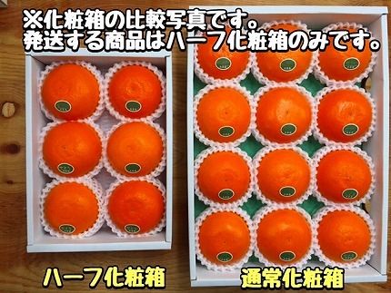 ハーフ 化粧箱 柑橘の大トロ ハウス せとか 厳選 6玉入 南泰園 	BS154 