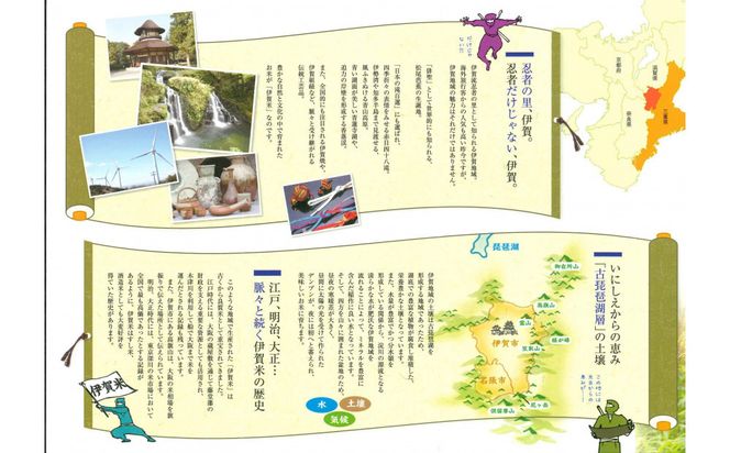 令和7年産【数量限定】三重県伊賀米 極 5kg 精米 進さんのコシヒカリ 242161_FP001