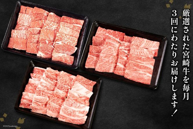 牛肉 定期便 3回 宮崎牛 バラエティAコース 計 1.3kg [ミヤチク 宮崎県 日向市 452061590] セット 冷凍 モモ 焼肉 牛肩ロース ロース バラ