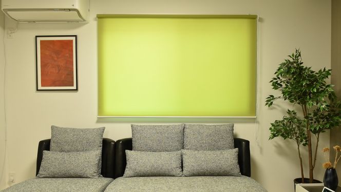 TOSO ロールスクリーン ボールチェーン式 採光生地 90cm×220cm（グリーン）ブラインド シンプルインテリア 採光 間仕切 カーテンレール取付 [BD166-NT]