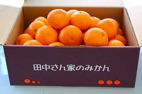 こだわり手詰め　有田みかんSサイズ（4.7kg）  	BU12