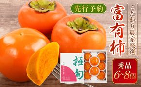 先行予約 富有柿 秀品6～8個入り こだわり農家厳選［2026年11月初旬頃から12月上旬頃順次発送］［KG25］ 303446_XM90025