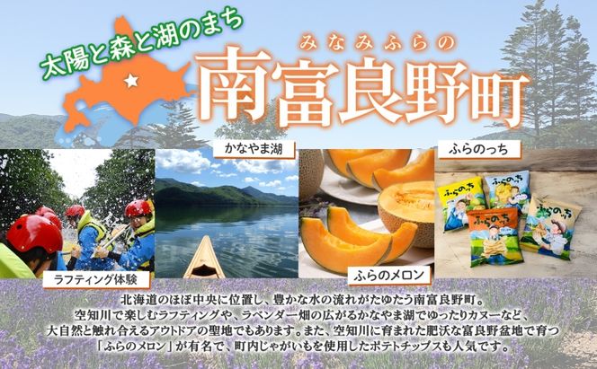 エゾ鹿肉＆南ふらの野菜スープカレー4食セット 北海道 南富良野町 エゾシカ 鹿 鹿肉 カレー スープカレー セット 詰合せ 加工食品 惣菜 レトルト 