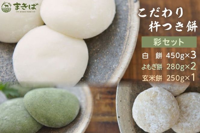 y}szn ʃZbg [Oq ܂  }s 21761384]   `