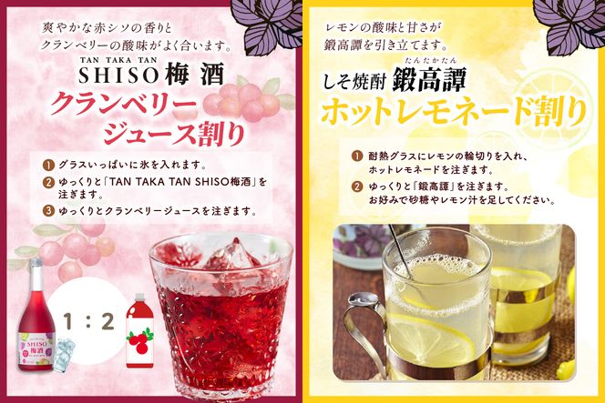 鍛高譚（たんたかたん）・鍛高譚の梅酒[720ml]【12本セット】