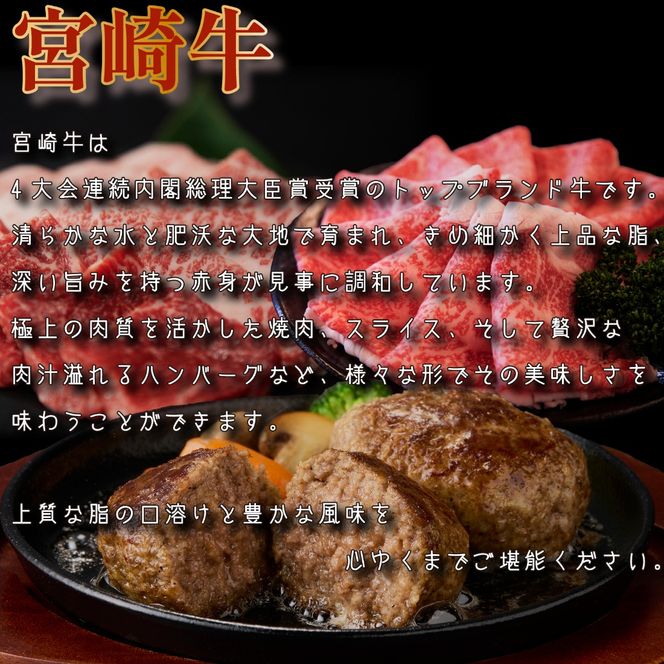 【定期便・全11回】日本一宮崎牛と小林市の魅力満載！！小林満足おためし定期便　20万円コース（国産 牛肉 国産牛 和牛 黒毛和牛 フルーツ お菓子 豚肉 鶏肉 キャビア 定期便）