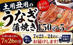 1169.【丑の日用】国産うなぎ蒲焼き大サイズ5本セット(A1169-1) 