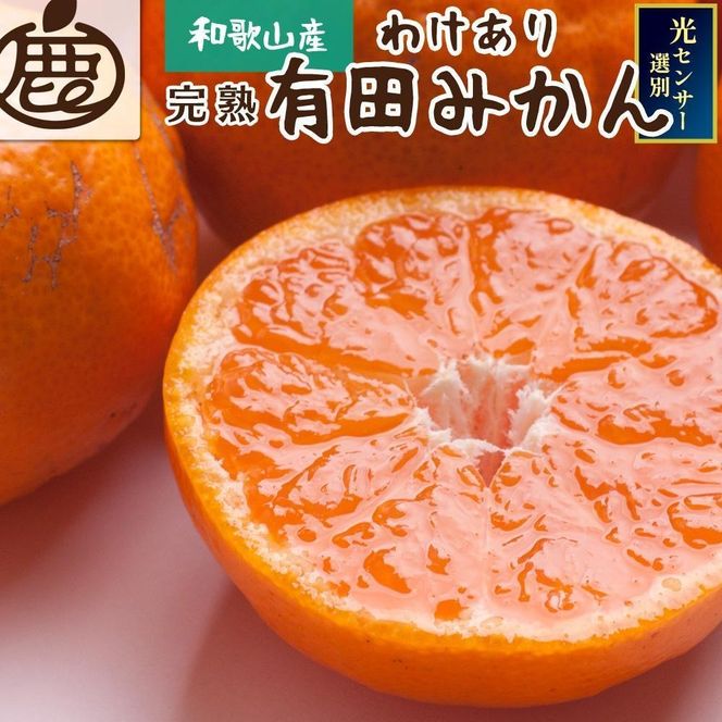 家庭用 完熟有田みかん5kg+250g（傷み補償分）  	CZ014
