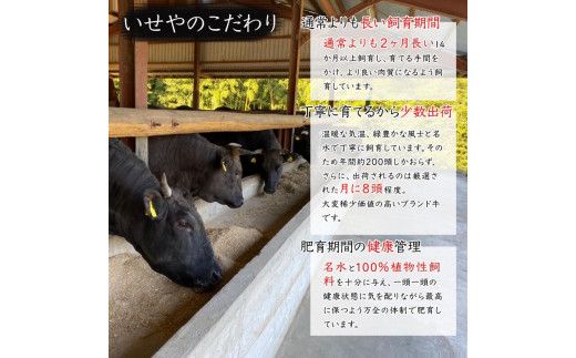 663.黒毛和牛100％希少なブランド熊野牛ハンバーグ（150ｇ×6個）(A663-1)